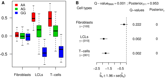 box-forest_strong-specific_rmvPCs_ENSG00000166839-rs1628955