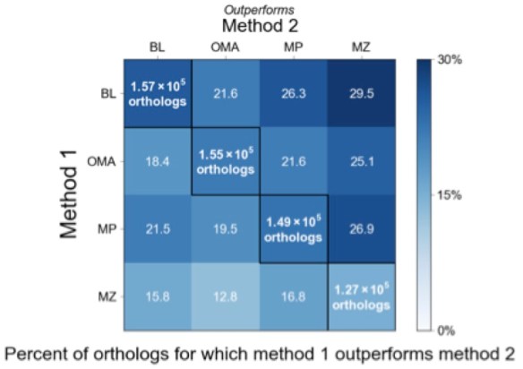 Comparison of sequence identity levels between methods A.) Heat map of the percent of orthologs for which BLAT (BL), OMA (OMA),  MultiParanoid (MP),, and MultiZ (MZ) outperform one another. Performance is based on percent identity of each method’s orthologs to the human sequence. One method is considered to outperform another method if it improves percent identity by at least five percentage points. Text in diagonal cells shows the number of orthologs identified by each method, colored by the percent of transcripts at which a given method outperforms all the others