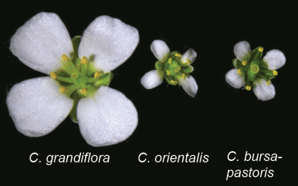 photo credit: Tanja Slotte